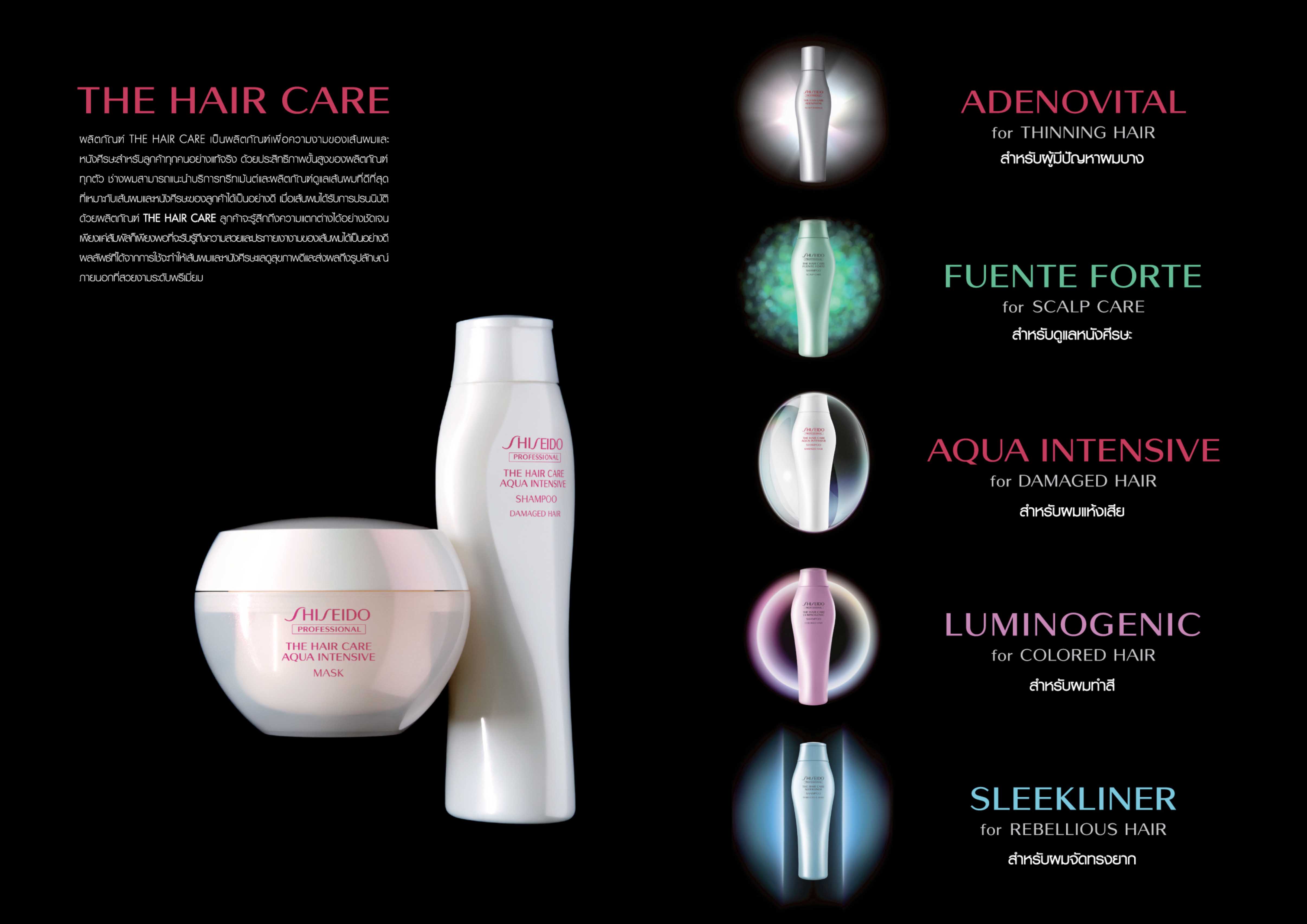 Shiseido Hair The hair care ชิเชโด้ เส้นผม ลด20%ทุกชนิด www.beyondsoho ...