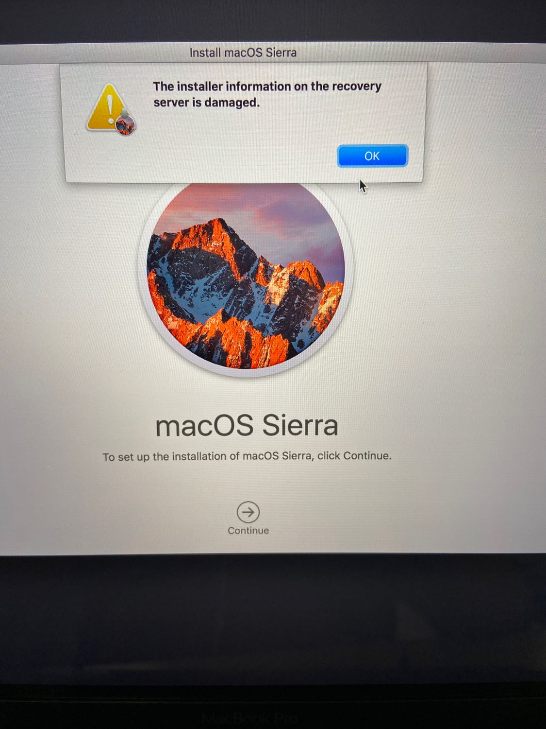 Stray for mac instal free
