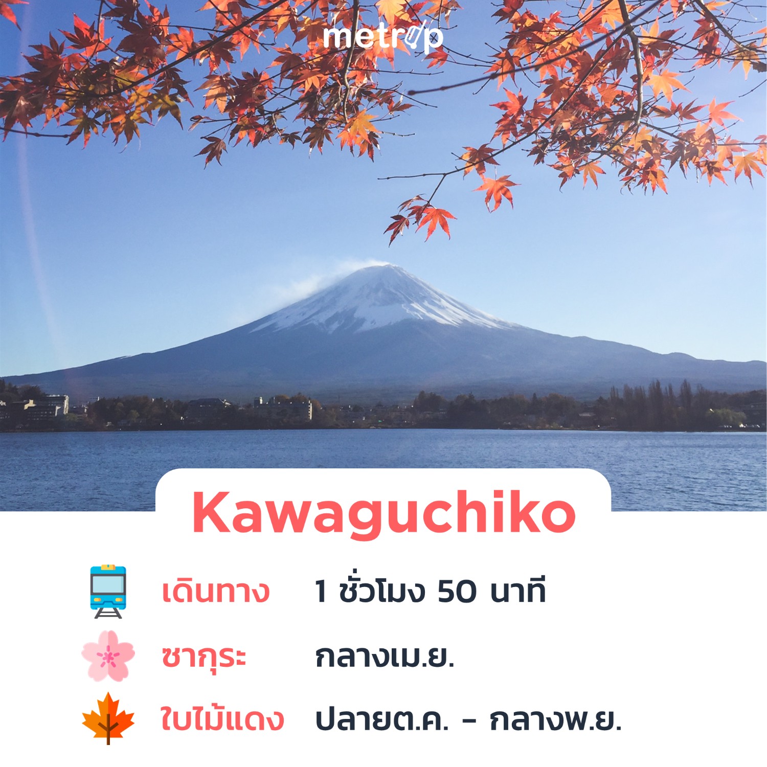8 ที่เที่ยวใกล้โตเกียว นั่งรถไฟไปเช้า-เย็นกลับ | MeTrip - Pantip 8 ที่เที่ยวใกล้โตเกียว นั่งรถไฟไปเช้า-เย็นกลับ | Metrip - Pantip