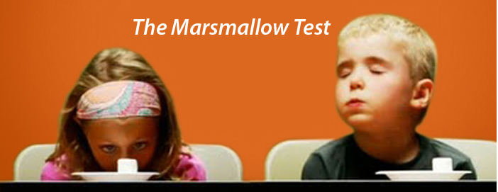 marshmallow experiment critics