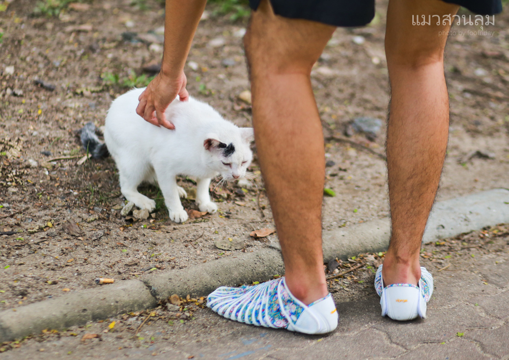 Vibram on sale furoshiki pantip