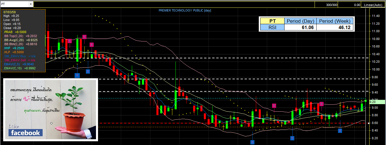 Forex pantip 2559