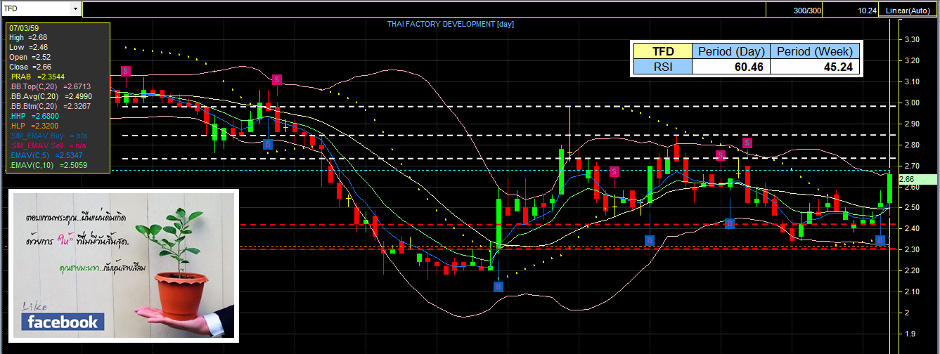 Forex Pantip - 