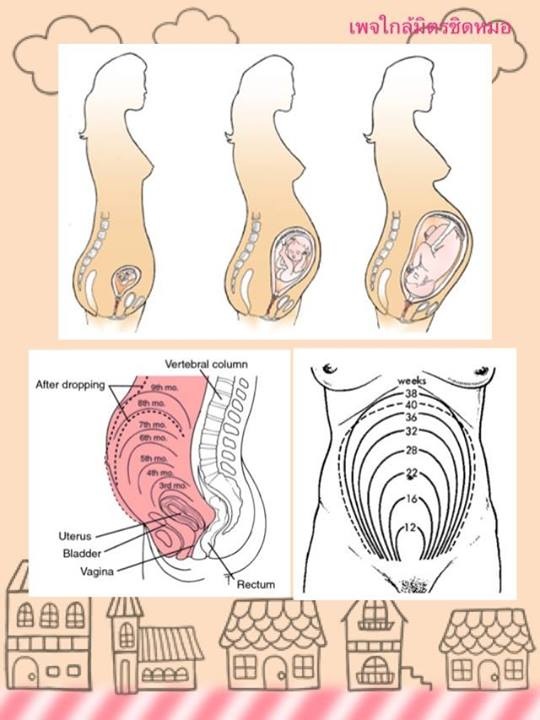การเปลี่ยนแปลงของร่างกายขณะตั้งครรภ์ รู้ไว้ได้ประโยชน์ค่ะ - Pantip