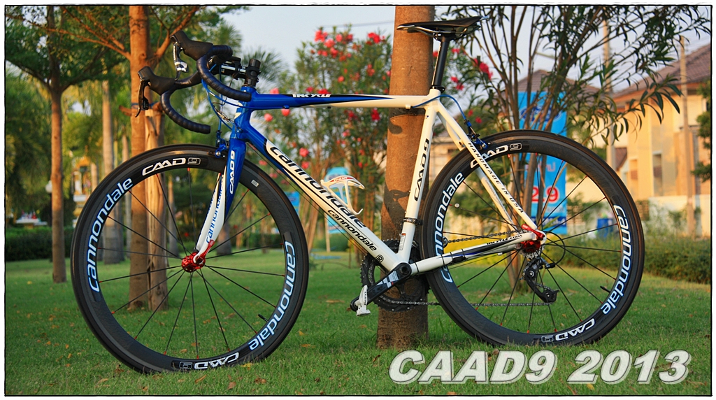Cannondale c9 hotsell