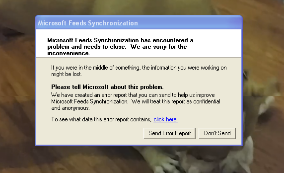 Microsoft feeds synchronization обнаружена ошибка windows xp