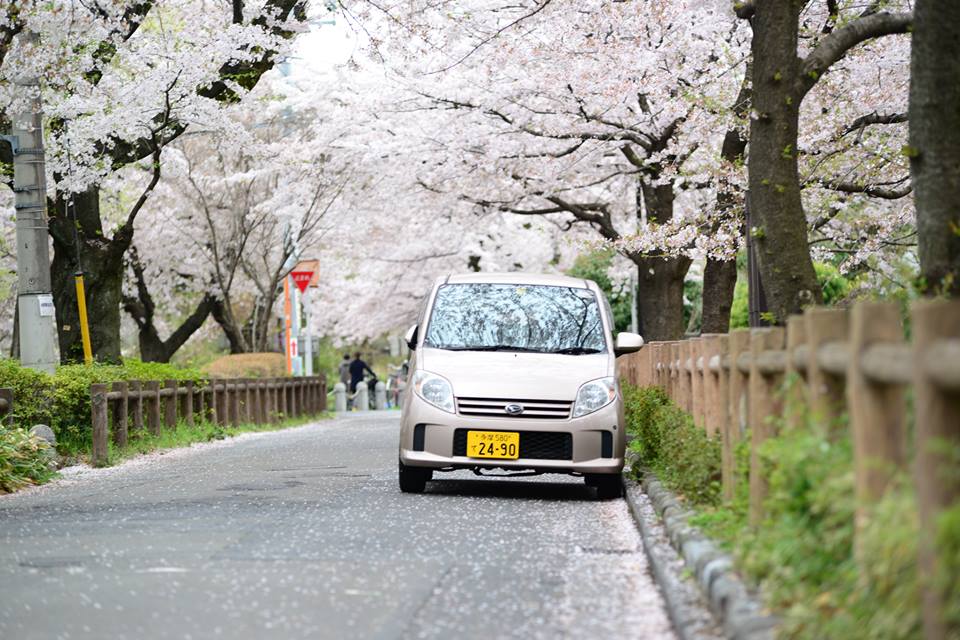 Tokyo สองฤดู Autumn & Spring : มองโตเกียวในมุมเหงาผ่านสีสันของสองฤดูกาล ...