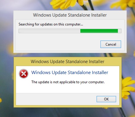 windows standalone installer not applicable