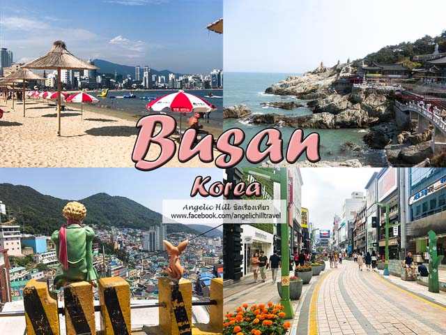 Busan, Korea] <3 พาเที่ยว 15 สถานที่ท่องเที่ยวสุดฮิตของเมืองปูซาน ประเทศ เกาหลี พร้อมวิธีการเดินทาง - Pantip
