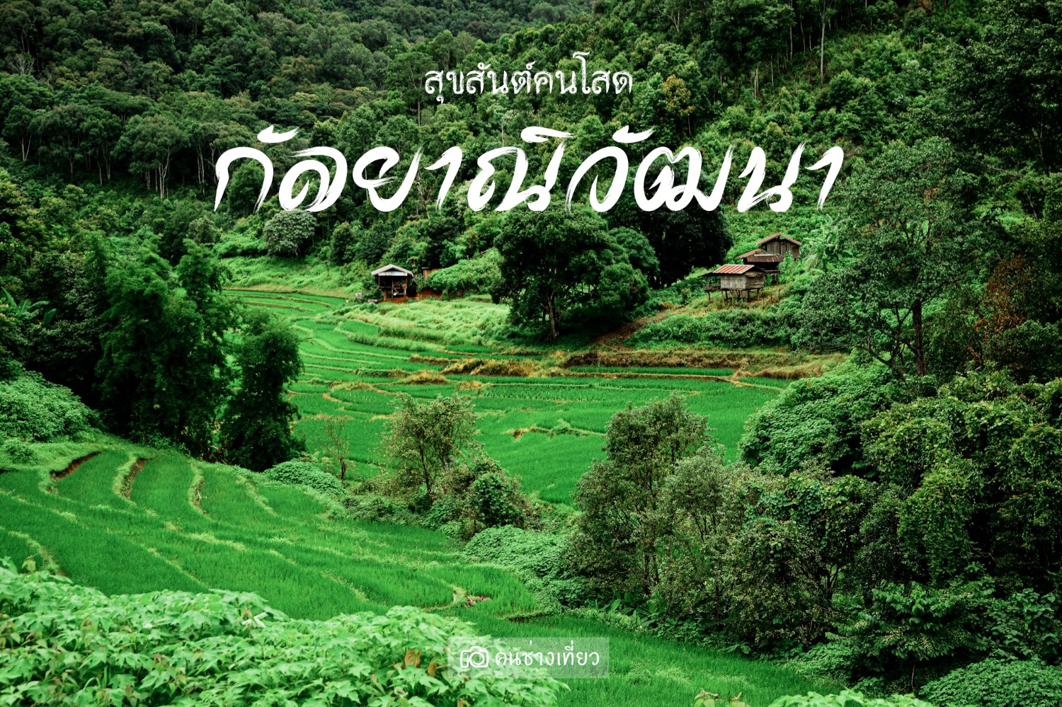 🌈 🌲🎈 สุขสันต์คนโสด 🎈 🌲 🌈 @ @ @ 🌳 กัลยาณิวัฒนา 🌳 จ.เชียงใหม่ - Pantip