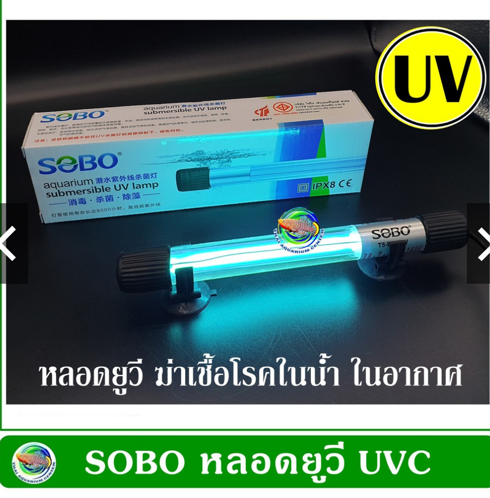 philips uvc pantip