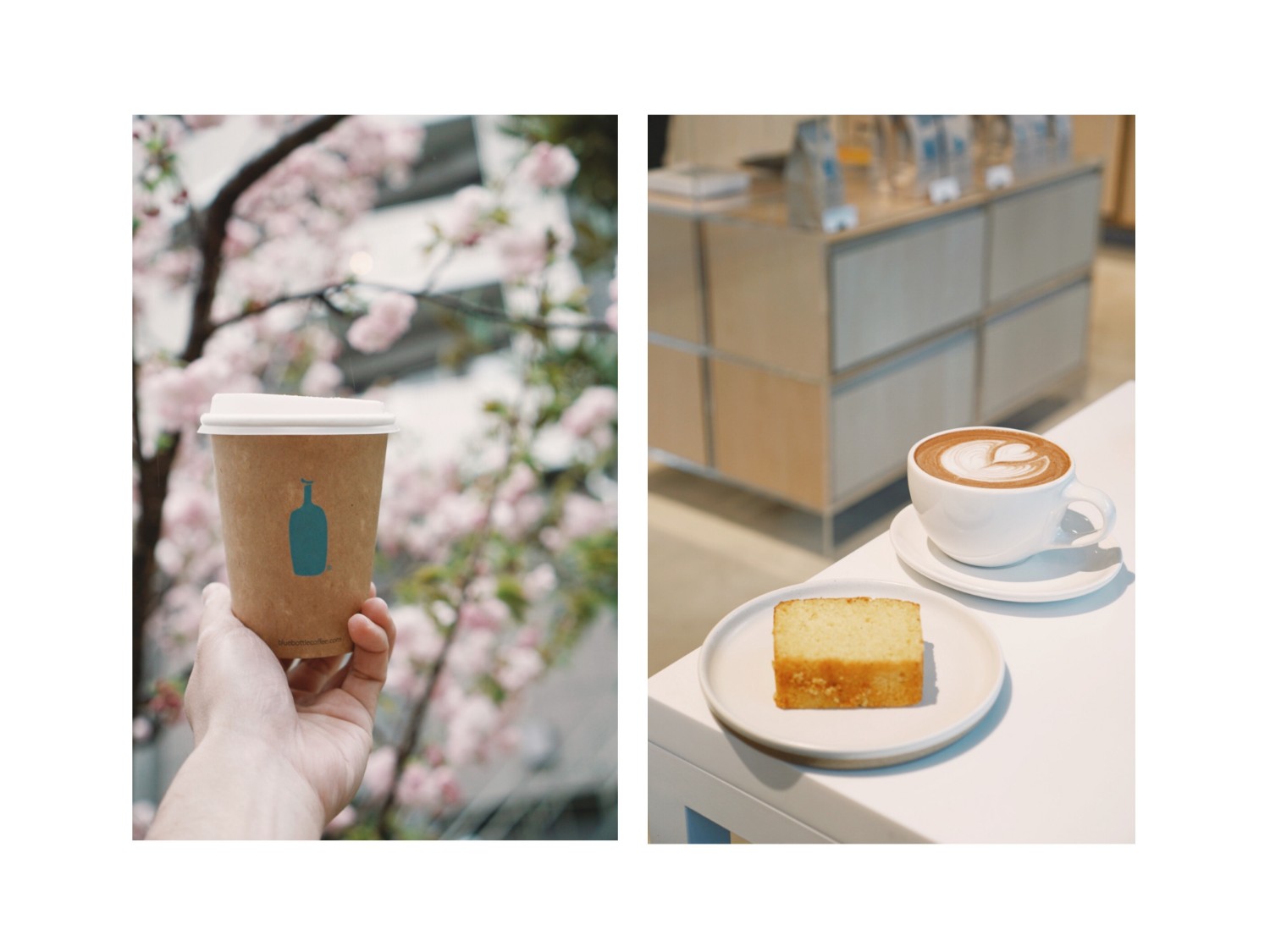 เที่ยวญี่ปุ่น เที่ยวโตเกียว ที่เที่ยวโตเกียว คาเฟ่โตเกียว