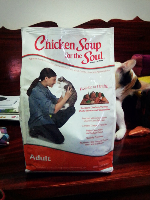 chicken soup for the soul แปล ไทย