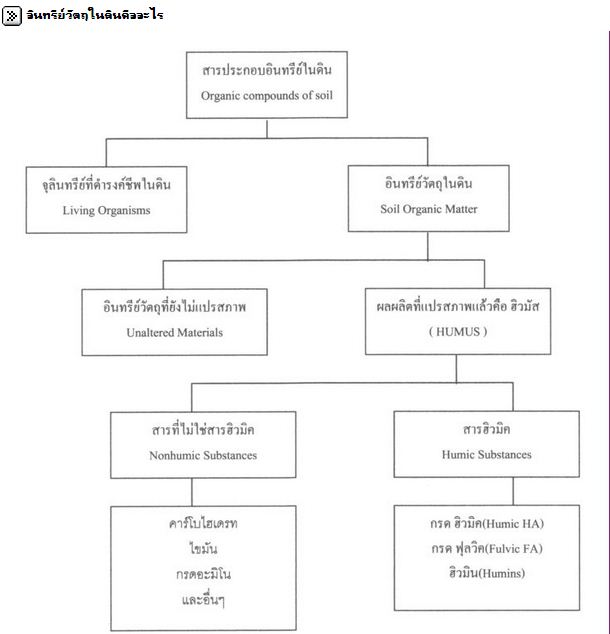 เมนูก้นครัวสำหรับพืช .... ทำฮิวมิคใช้เอง - Pantip