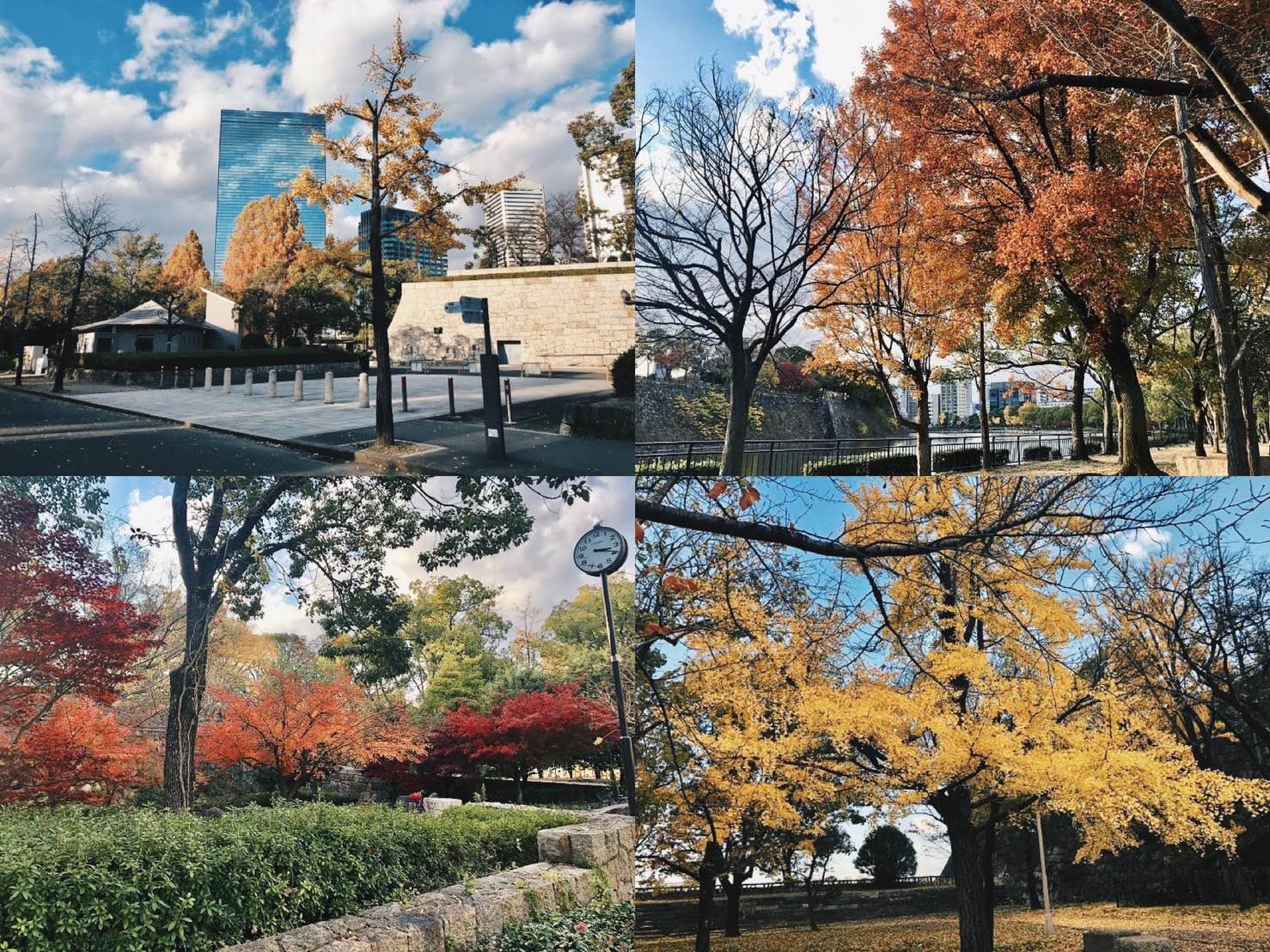 autumn-in-osaka-2021