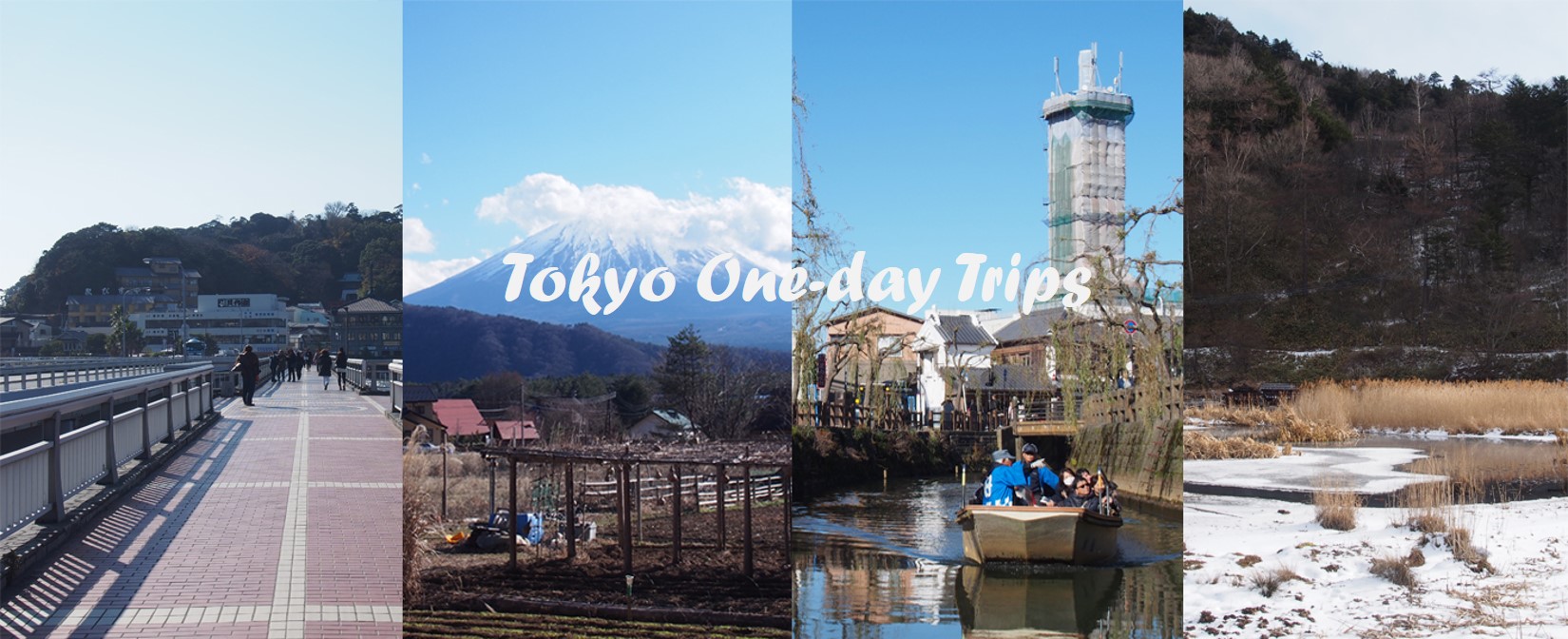 one day trip tokyo pantip