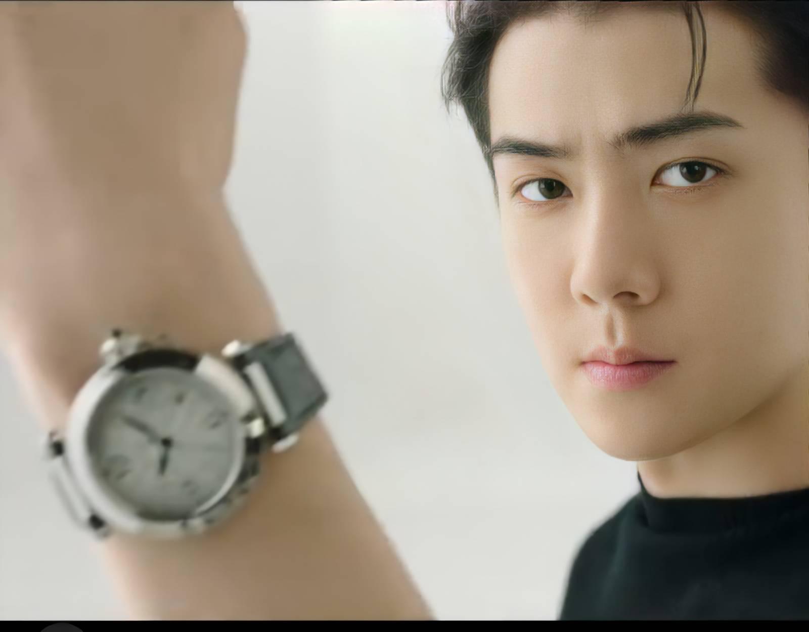 sehun pasha de cartier