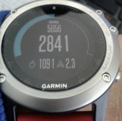 garmin fenix 5x sapphire review 2020