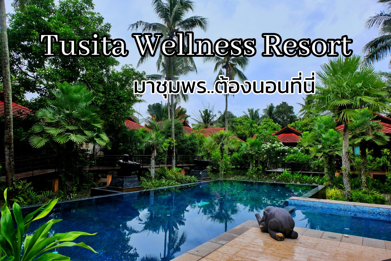 Review : นอนวิลล่ากลางสวนที่ชุมพร @ ธูษิฏา เวลเนส รีสอร์ต (Tusita Wellness Resort) - Pantip