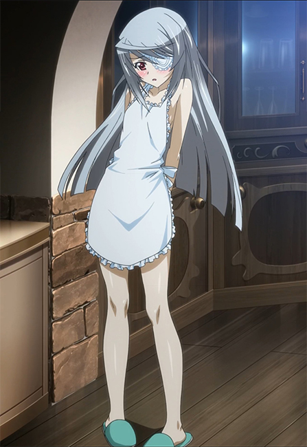 Infinite Stratos Ova World Purge