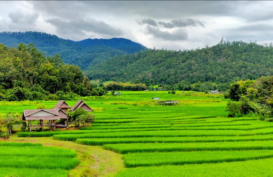 ขี่รถเที่ยวชมวิวสวยๆในหน้าฝนกับ3จังหวัดในภาคเหนือ(เชียงใหม่, แม่ฮ่องสอน,  ลำปาง) - Pantip