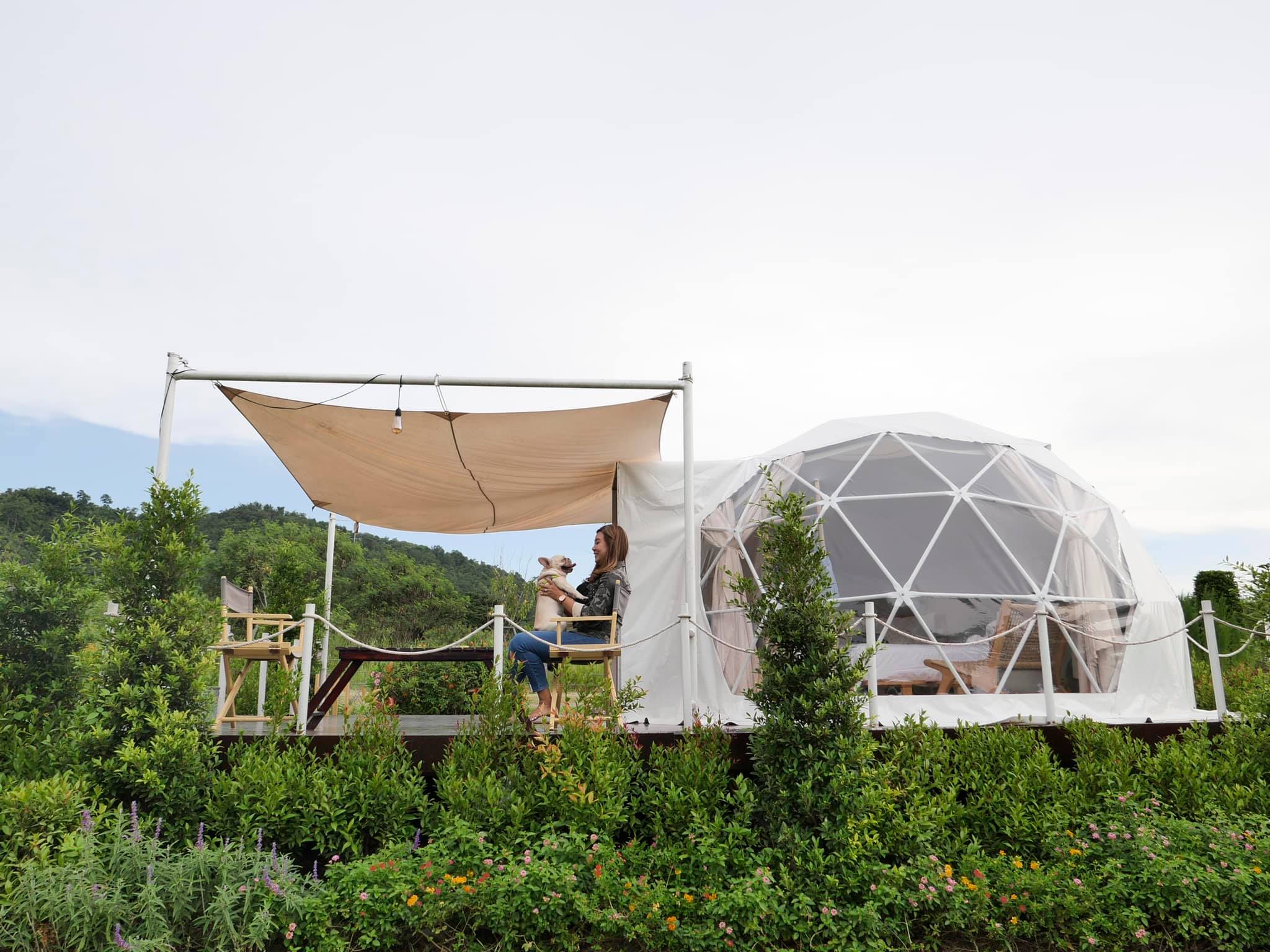 ที่พักเขาใหญ่ น้องหมาพักได้ที่ Oh La La Glamping - Pantip