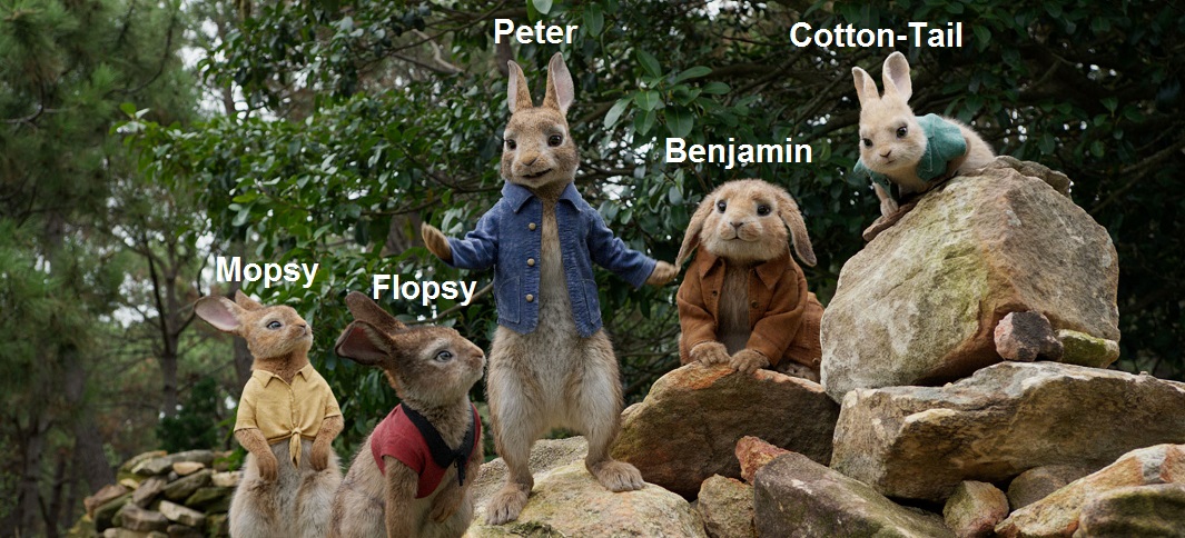 มีใครดู Peter Rabbit แล้วบ้าง - Pantip